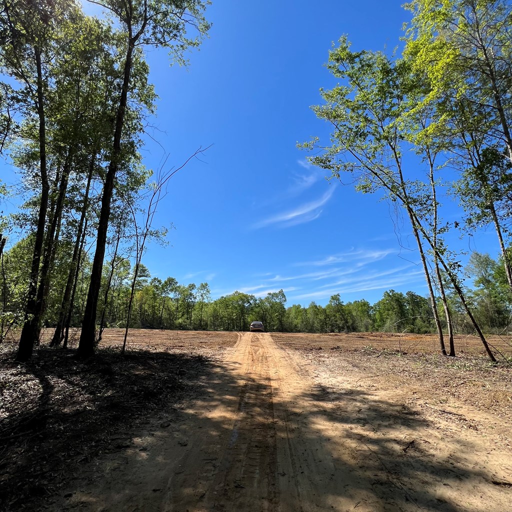 520 George Road Dothan, AL 36301 - Photo 5 of 12