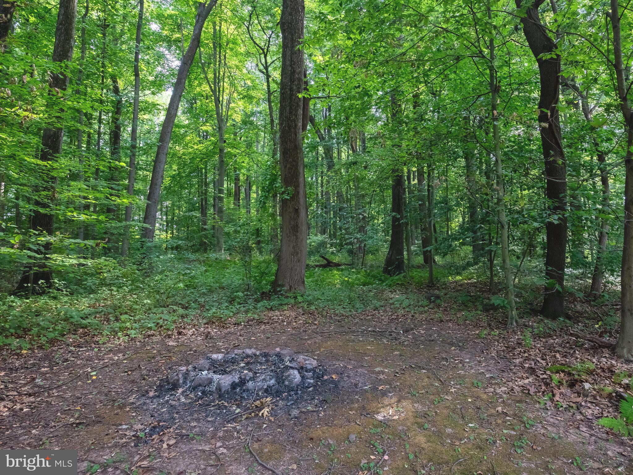 1502 Sheffield Lane Pottstown, PA 19465 - Photo 43 of 46 Bonfire!