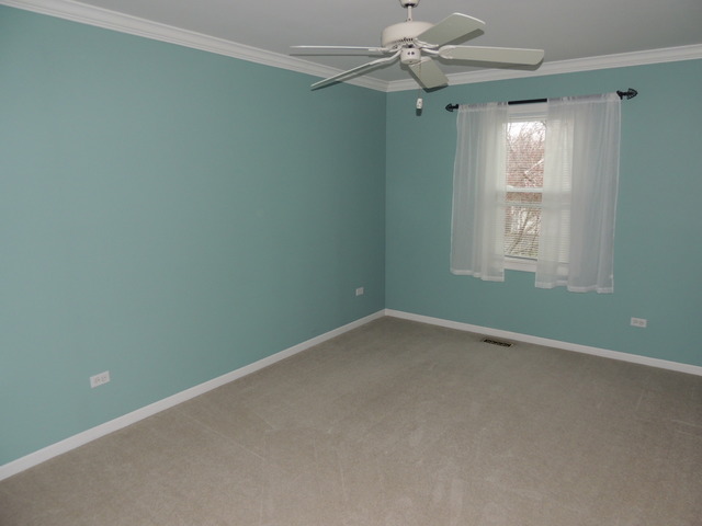 262 Foxmoor Road Fox River Grove, IL 60021 - Photo 11 of 15