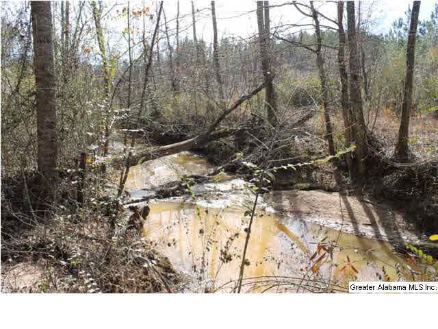 9 Highway 9, Unit 84 Lineville, AL 36266 - Photo 13 of 16
