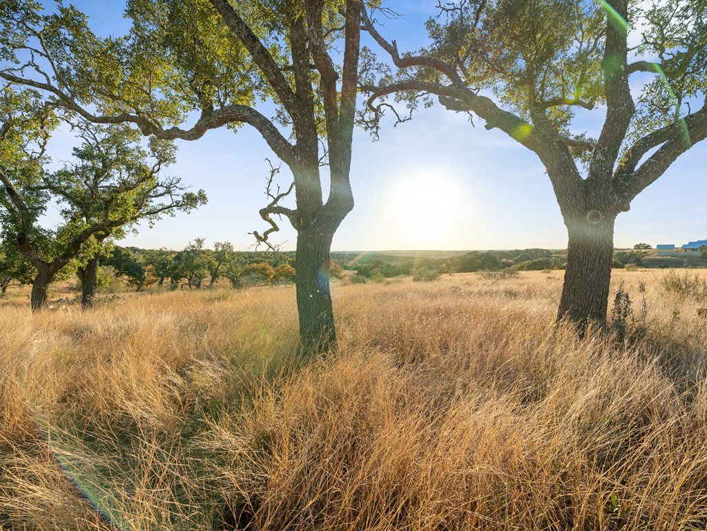 Lot 41 Avila Rdg Drive Kerrville, TX 78028 - Photo 12 of 22