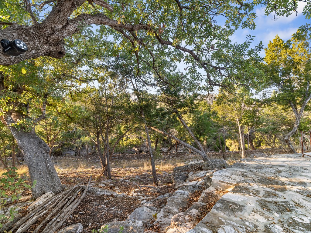Lot 41 Avila Rdg Drive Kerrville, TX 78028 - Photo 18 of 22