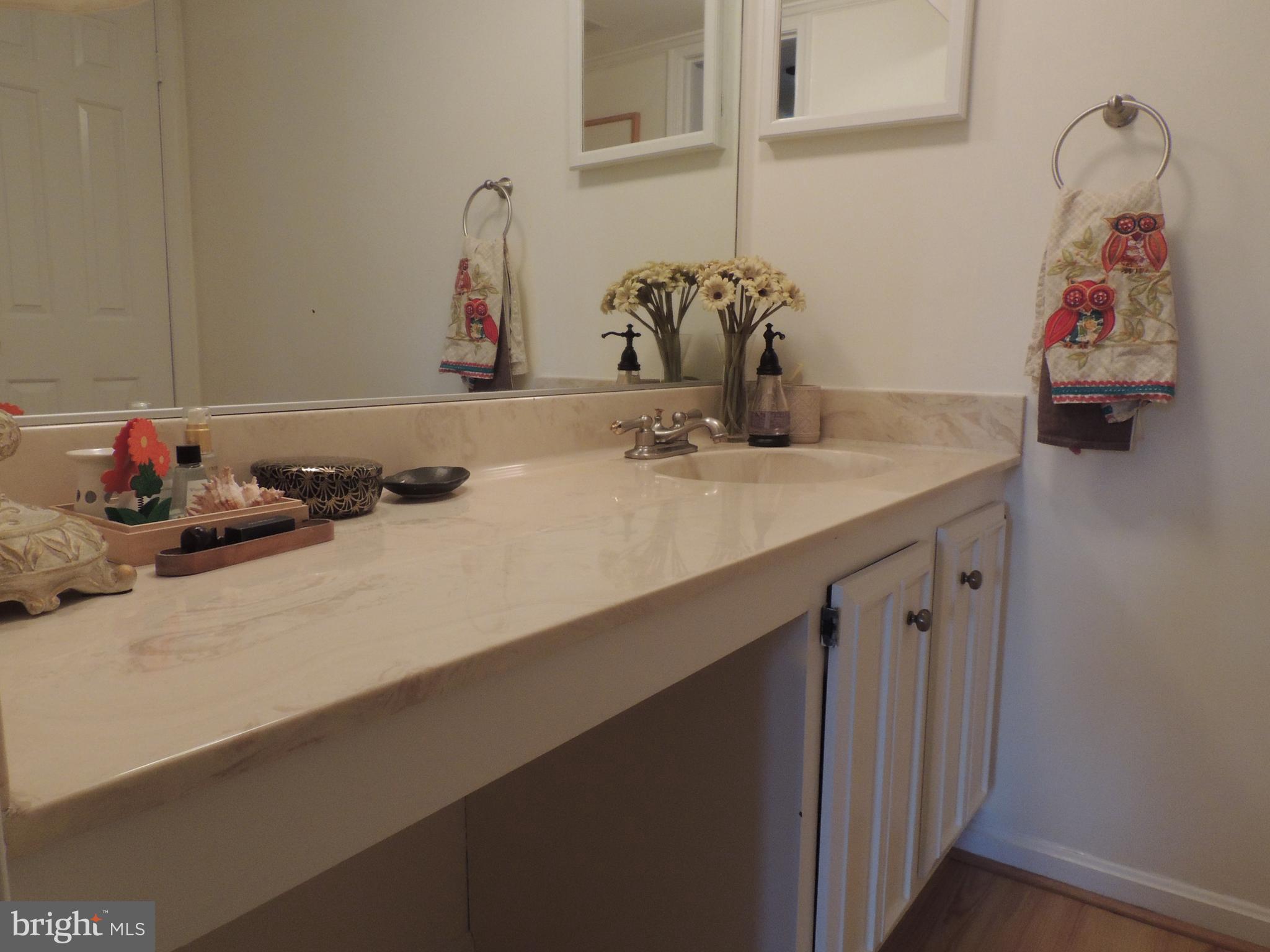 9001 Streamview Lane Vienna, VA 22182 - Photo 23 of 40