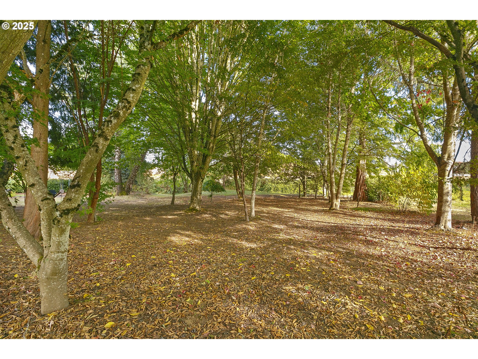 5400 Southeast Chase Road Gresham, OR 97080 - Photo 34 of 47 a view of yard with trees