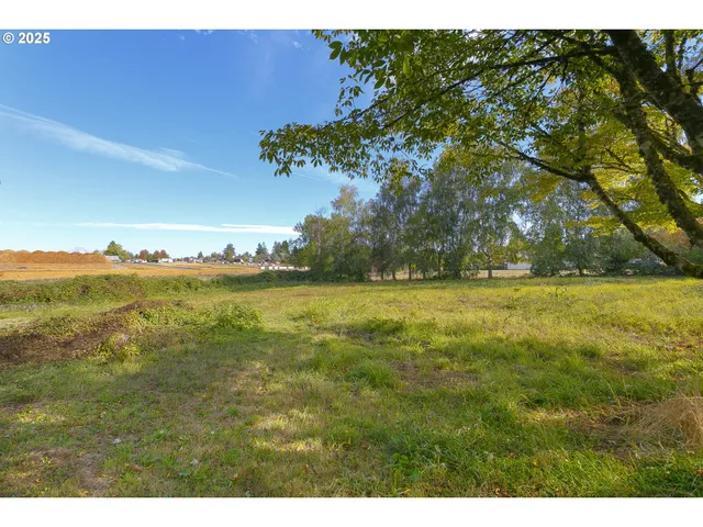 a view of outdoor space and yard
