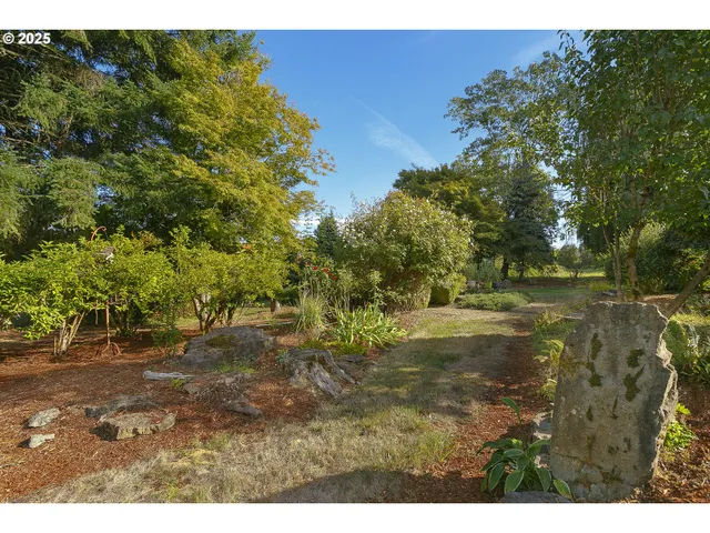 a view of outdoor space and yard