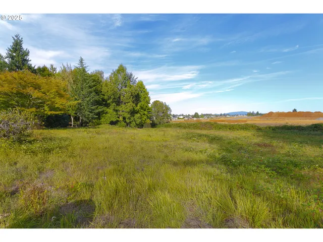 a view of yard with ocean view
