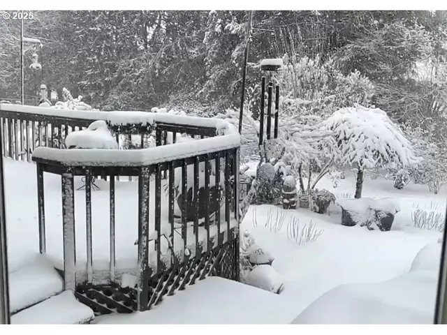 a view of a wooden house with a yard