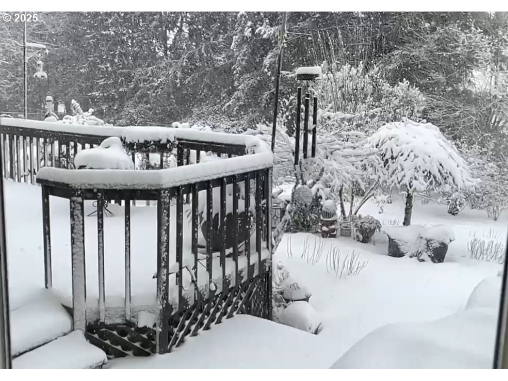 5400 Southeast Chase Road Gresham, OR 97080 - Photo 47 of 47 a view of a wooden house with a yard