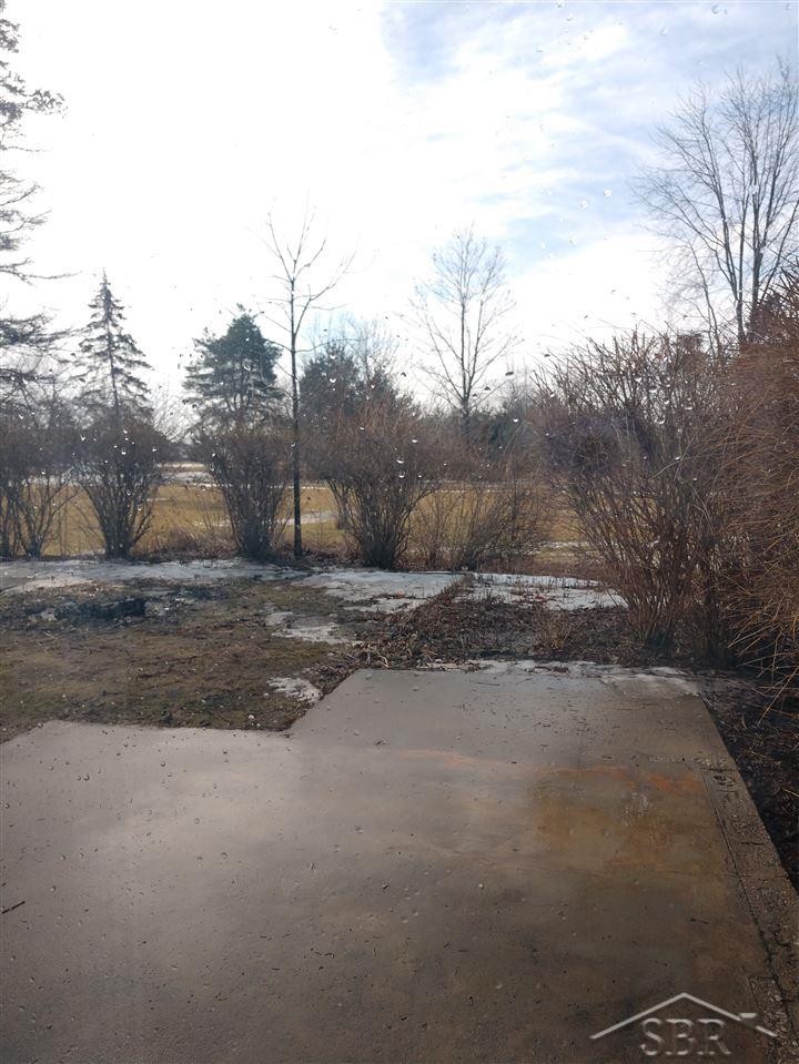 8925 Webster Road Freeland, MI 48623 - Photo 33 of 35 31373169-32.JPG