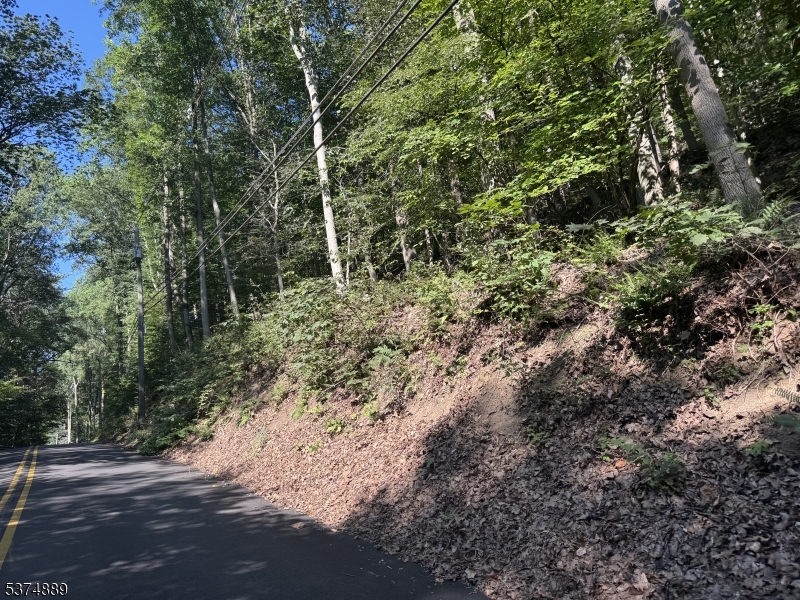 130 Millbrook Road Washington, NJ 07882 - Photo 3 of 3 a view of a forest with trees in the background
