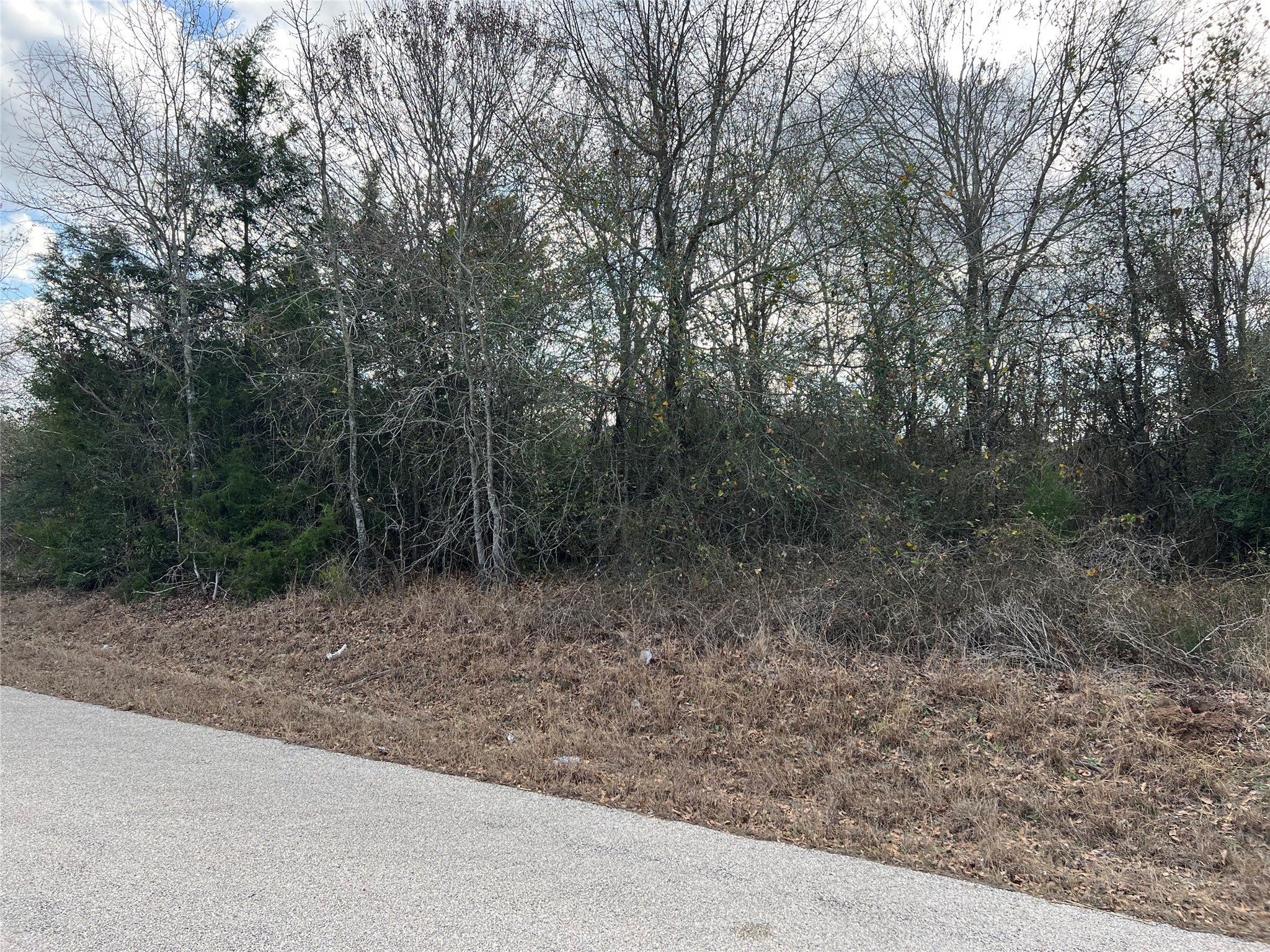 Tbd Iron Bridge Road Burton, TX 77835 - Photo 5 of 8