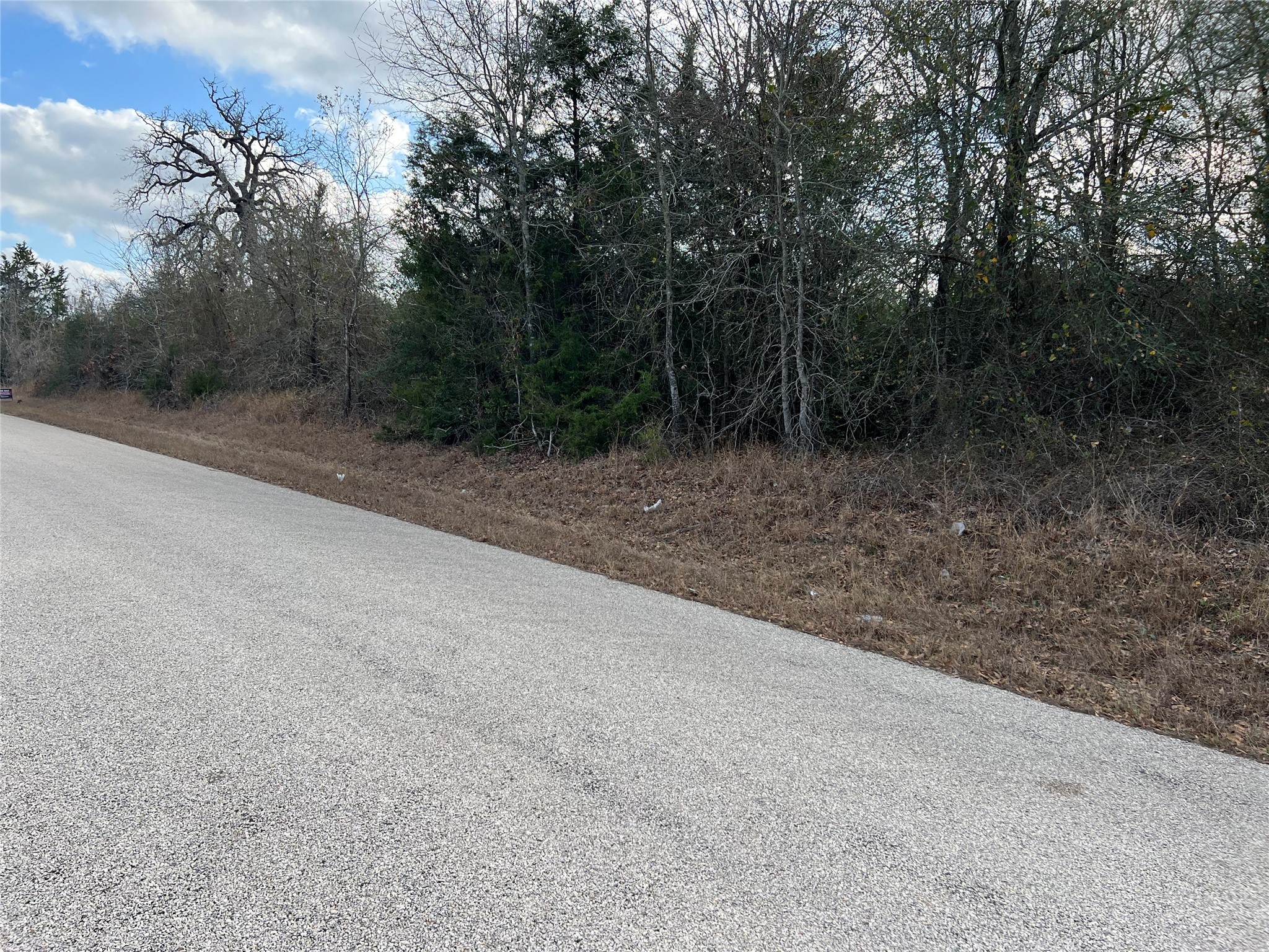 Tbd Iron Bridge Road Burton, TX 77835 - Photo 6 of 8