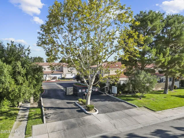 a view of a park with large trees