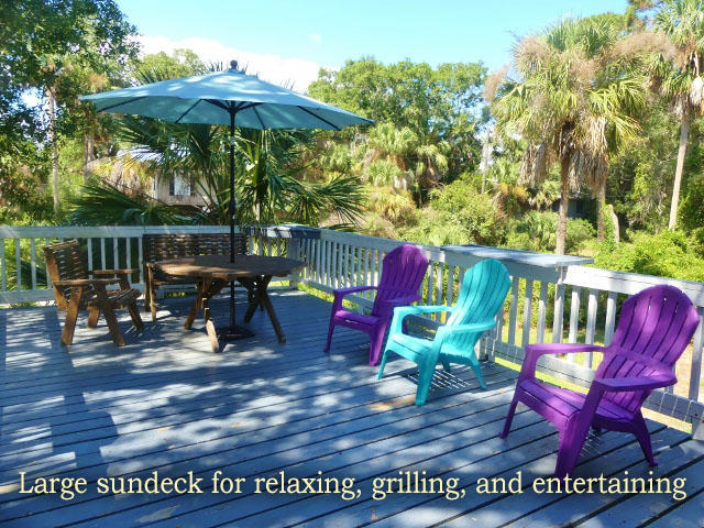 615 Jungle Road Edisto Island, SC 29438 - Photo 3 of 46 3