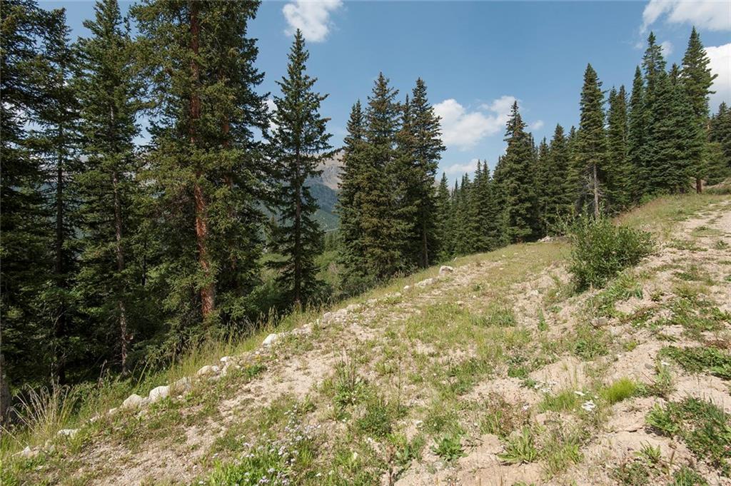 115 Jackson Road Alma, CO 80420 - Photo 1 of 25 Gallery Image 1