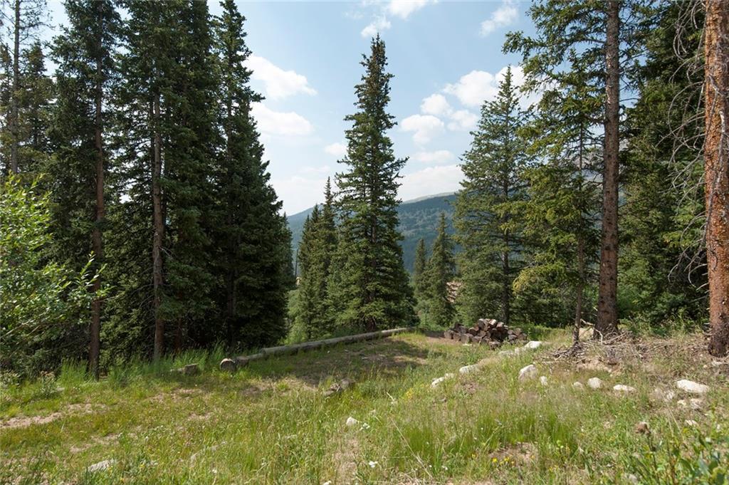 115 Jackson Road Alma, CO 80420 - Photo 11 of 25 Gallery Image 11