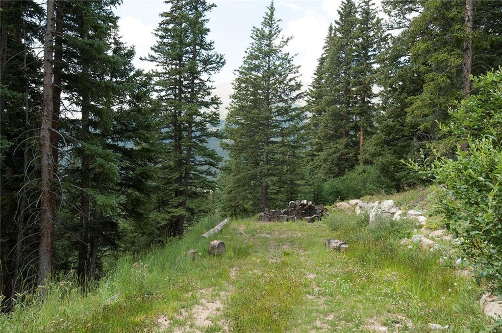 115 Jackson Road Alma, CO 80420 - Photo 17 of 25 Gallery Image 17