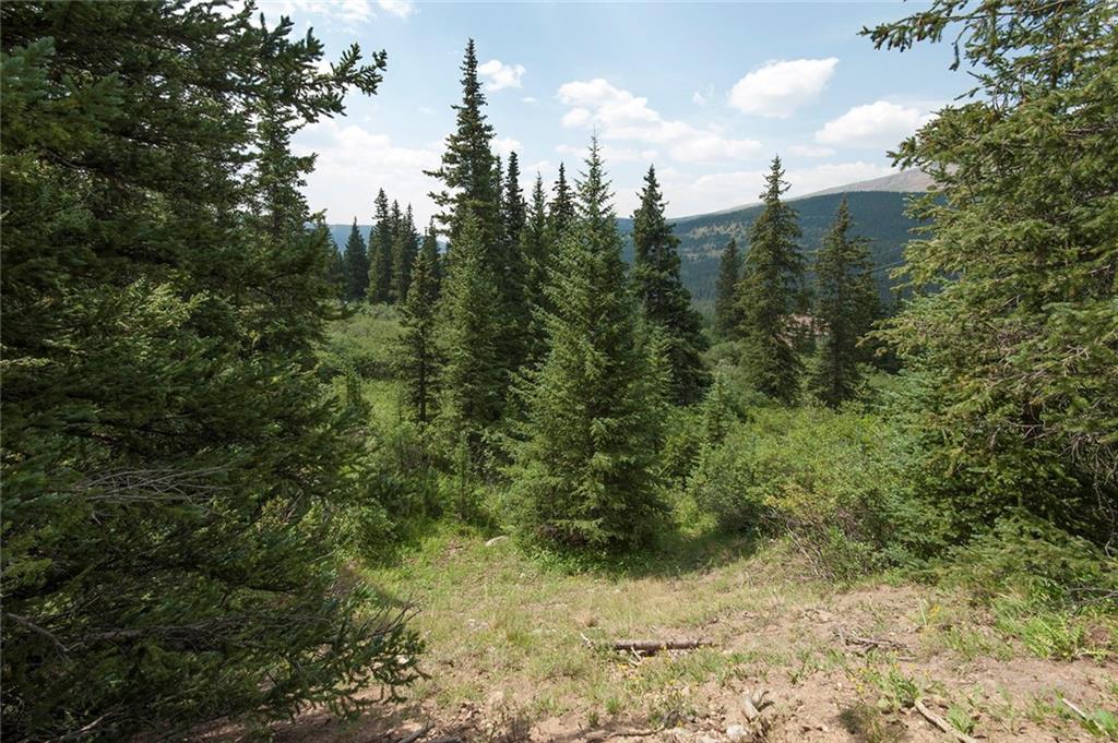 115 Jackson Road Alma, CO 80420 - Photo 20 of 25 Gallery Image 20