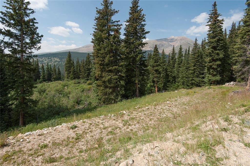 115 Jackson Road Alma, CO 80420 - Photo 3 of 25 Gallery Image 3