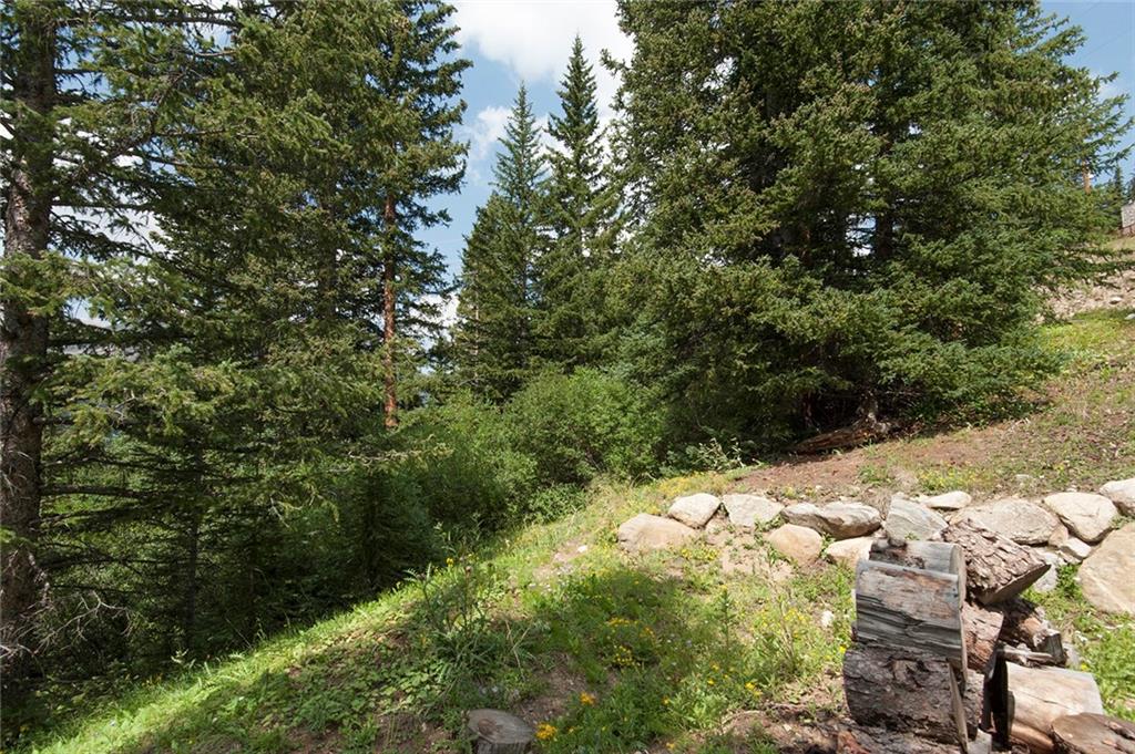 115 Jackson Road Alma, CO 80420 - Photo 21 of 25 Gallery Image 21