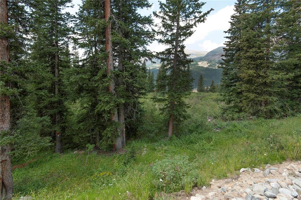 115 Jackson Road Alma, CO 80420 - Photo 23 of 25 Gallery Image 23