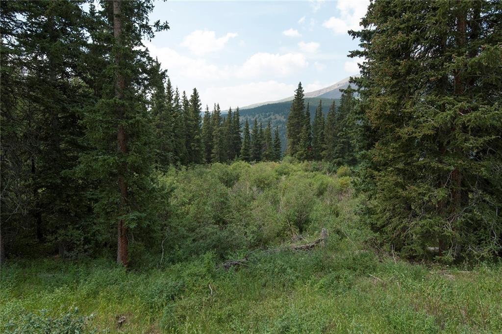 115 Jackson Road Alma, CO 80420 - Photo 24 of 25 Gallery Image 24