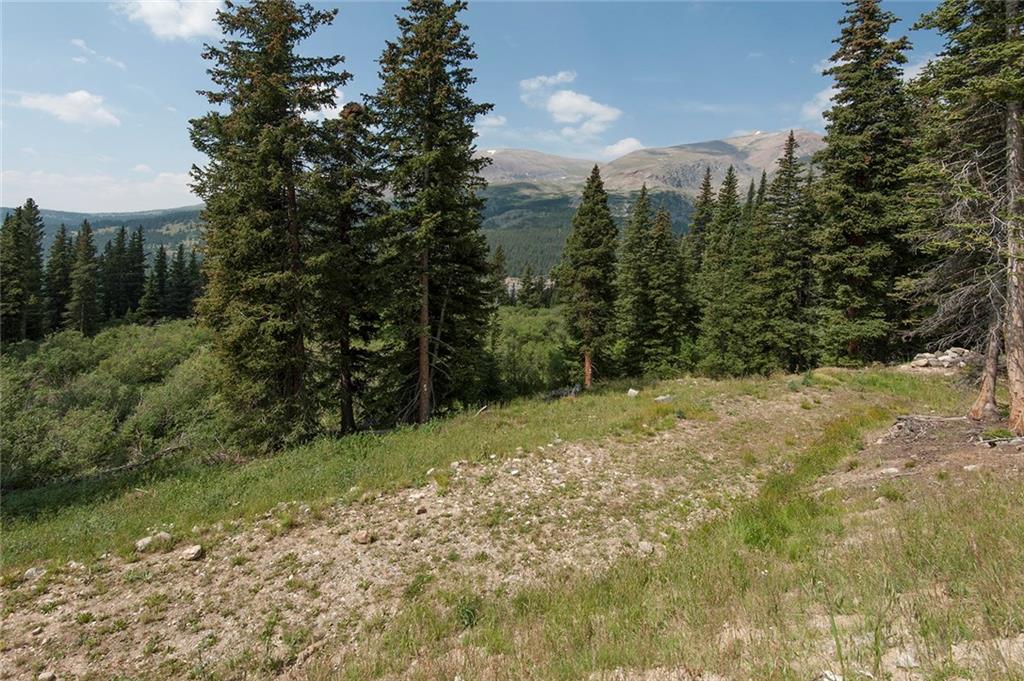 115 Jackson Road Alma, CO 80420 - Photo 4 of 25 Gallery Image 4
