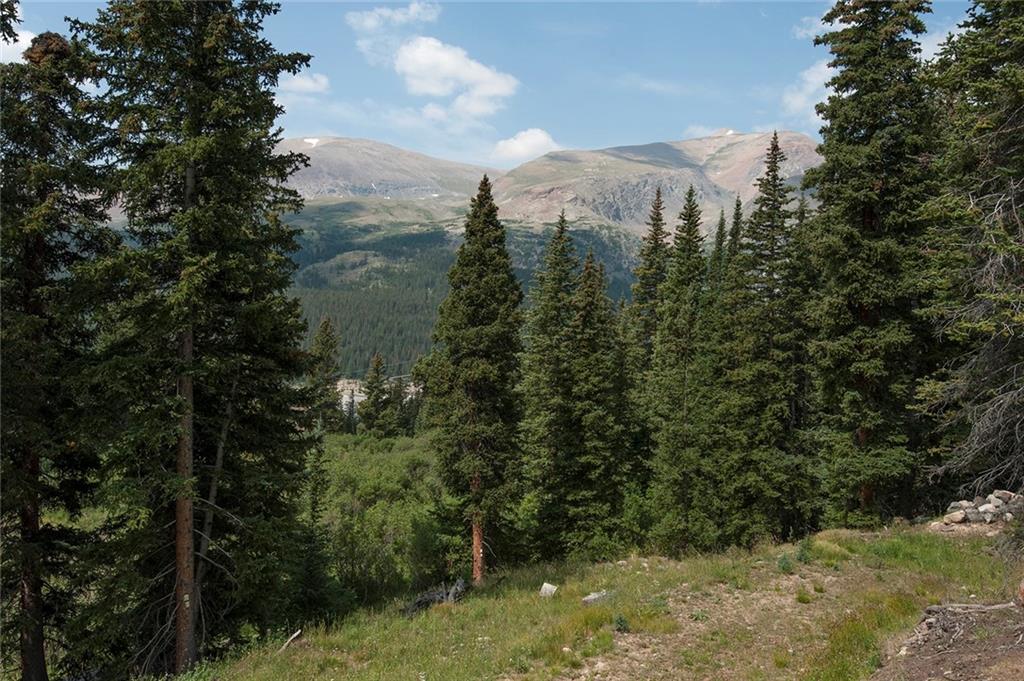 115 Jackson Road Alma, CO 80420 - Photo 5 of 25 Gallery Image 5