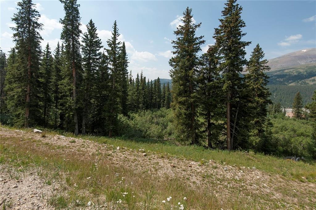 115 Jackson Road Alma, CO 80420 - Photo 6 of 25 Gallery Image 6