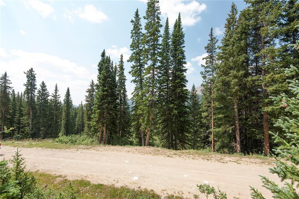 115 Jackson Road Alma, CO 80420 - Photo 8 of 25 Gallery Image 8