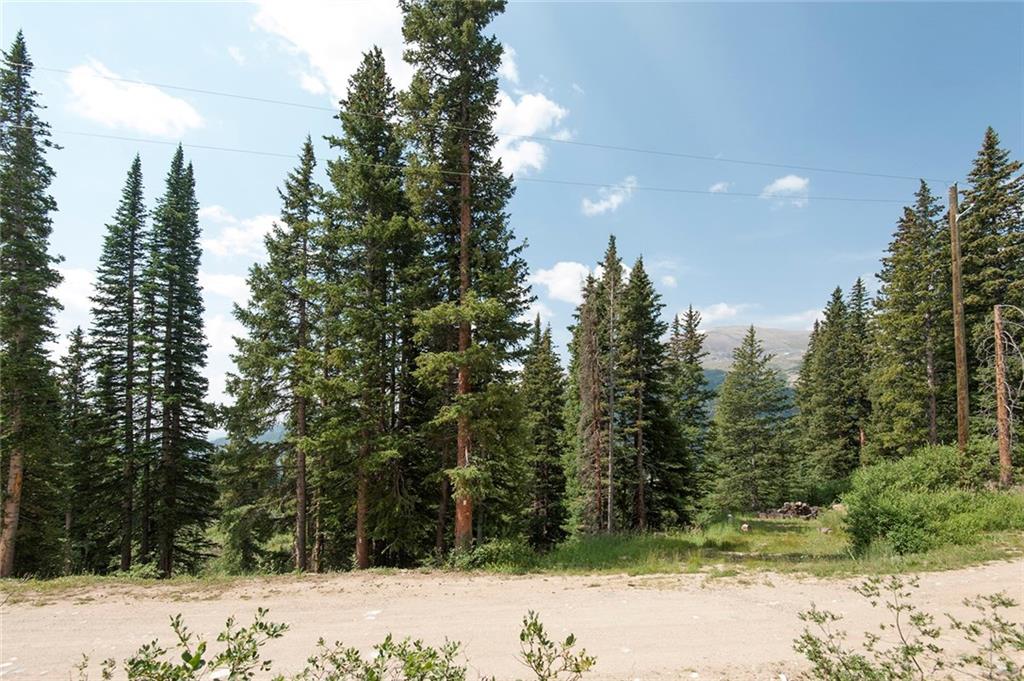115 Jackson Road Alma, CO 80420 - Photo 9 of 25 Gallery Image 9
