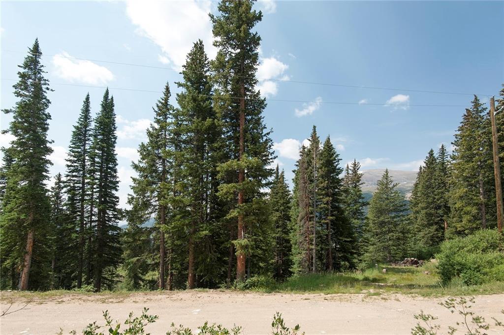 115 Jackson Road Alma, CO 80420 - Photo 10 of 25 Gallery Image 10