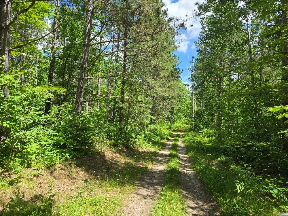 Tbd Tbd Fs2564d Remer, MN 56672 - Photo 2 of 18