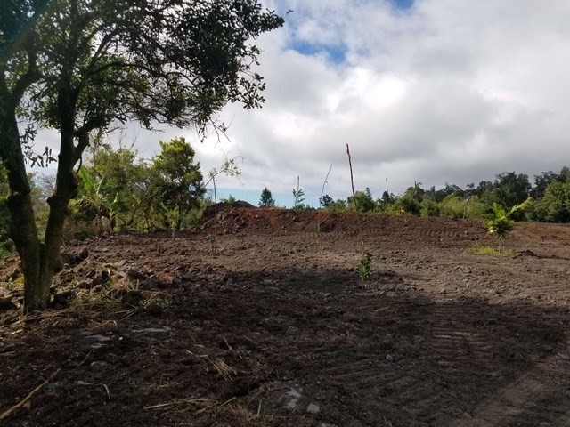 88-2709 Papa Homestead Road Captain Cook, HI 96704 - Photo 5 of 18 Gallery Image 5
