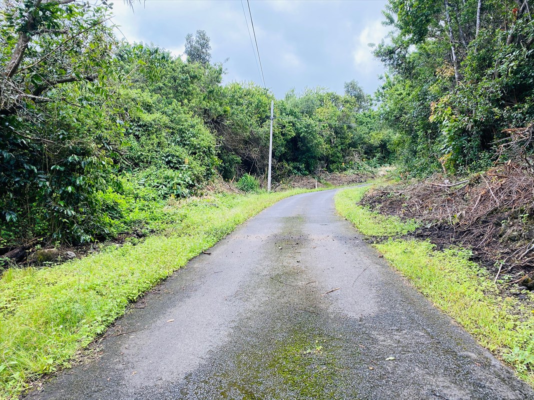 88-2709 Papa Homestead Road Captain Cook, HI 96704 - Photo 10 of 18 Gallery Image 10
