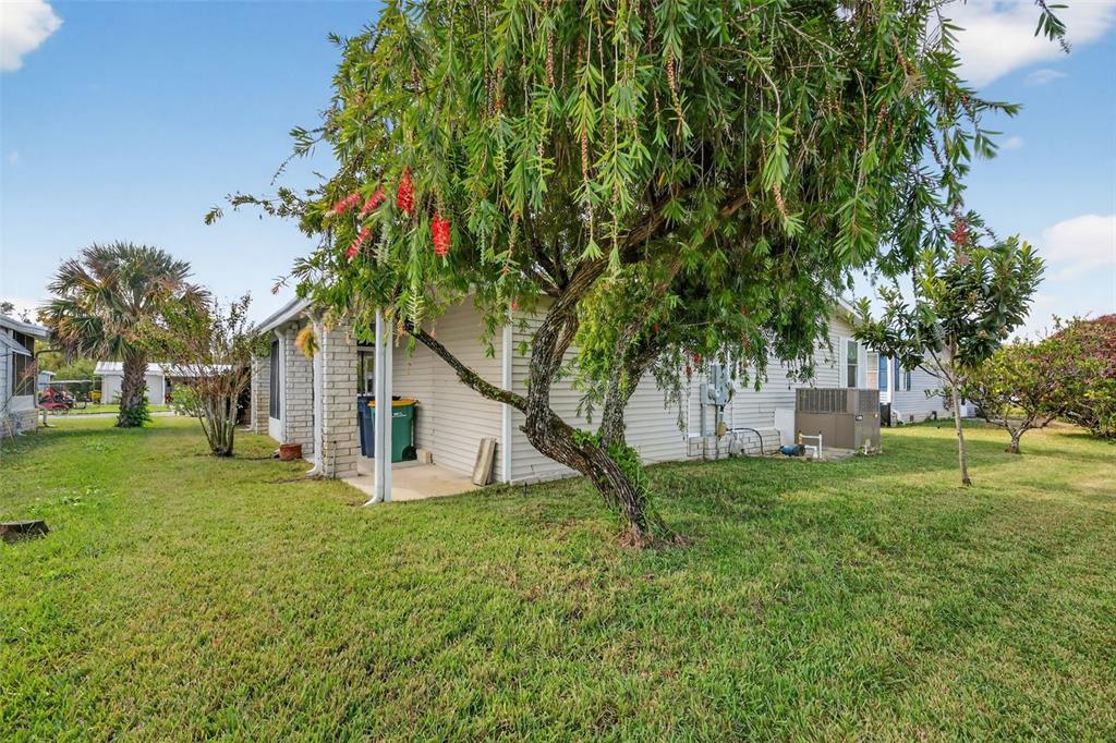 3324 Myakka River Road Tavares, FL 32778 - Photo 5 of 35 a white house that has a tree in front of it