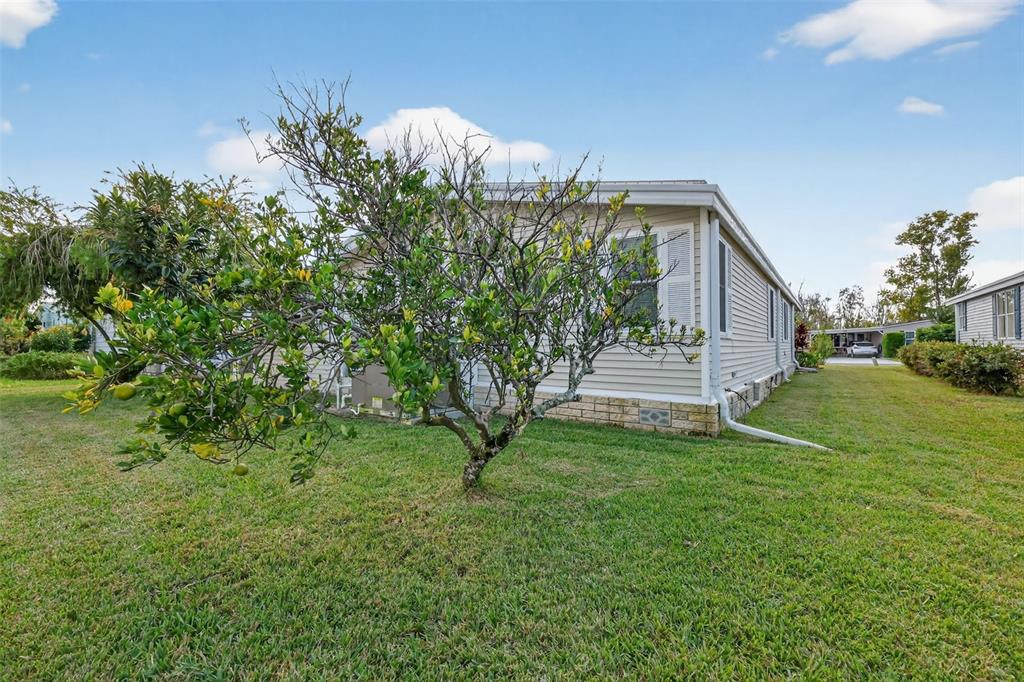 3324 Myakka River Road Tavares, FL 32778 - Photo 6 of 35 a view of a house with a yard