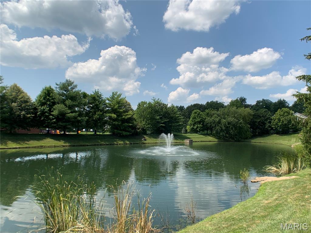 176 Brighthurst Drive Chesterfield, MO 63005 - Photo 42 of 46