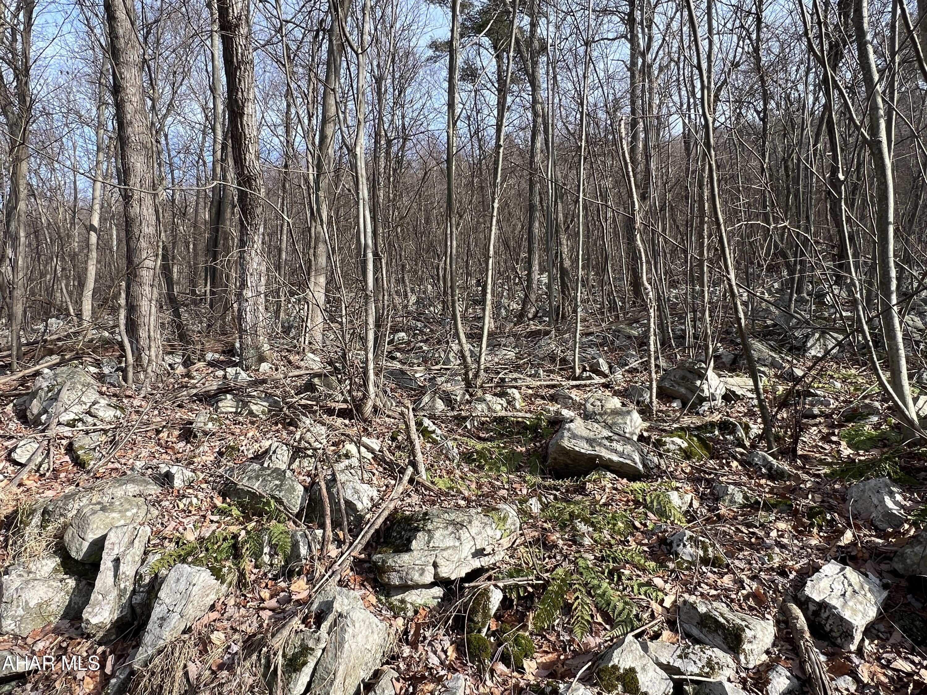 0 Brumbaugh Road Osterburg, PA 16667 - Photo 24 of 30