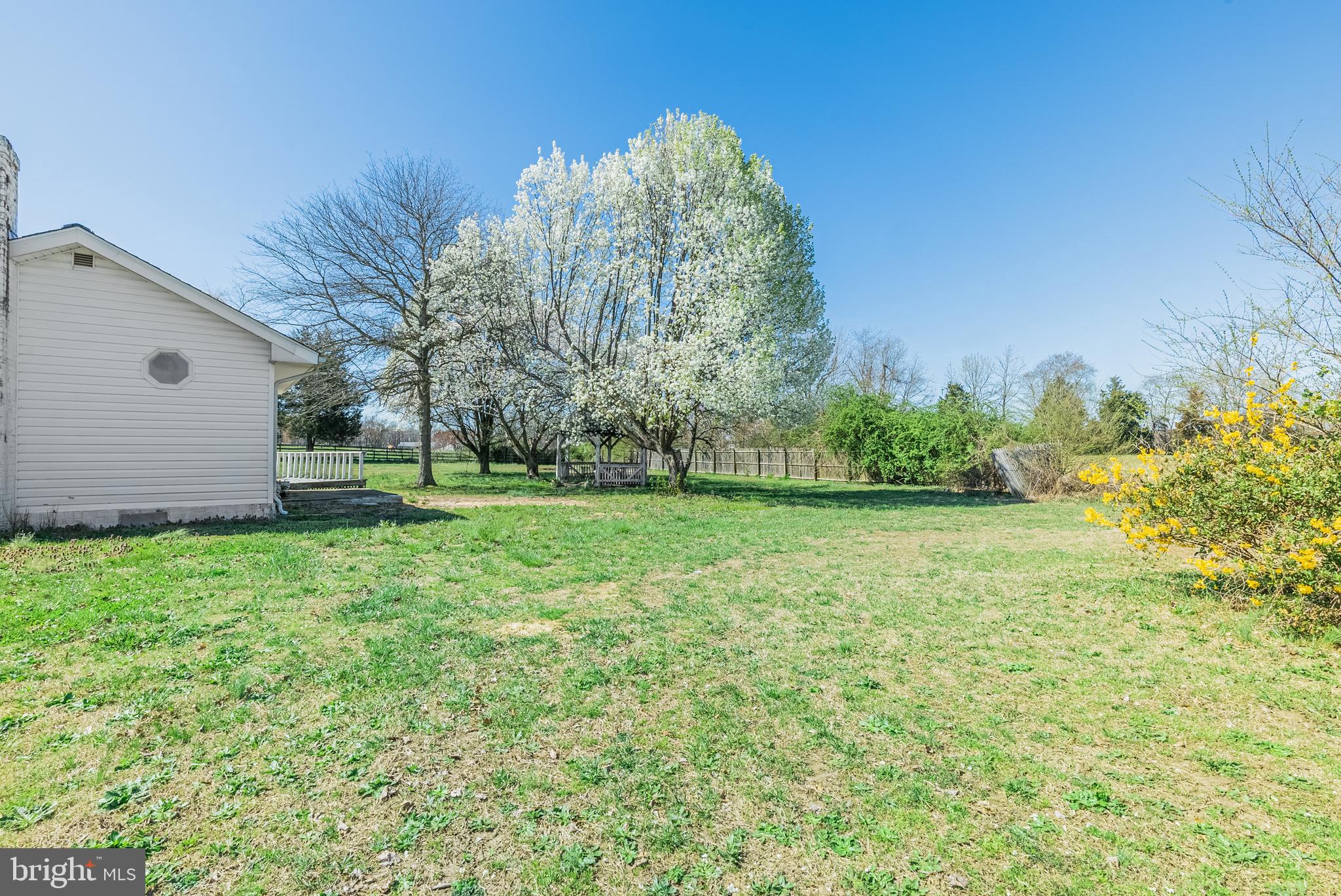 28405 Thompson Corner Road Mechanicsville, MD 20659 - Photo 27 of 29 Back yard