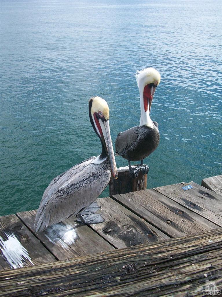 3101 Peninsula Road, Unit 209 Oxnard, CA 93035 - Photo 42 of 49 Additional Photo