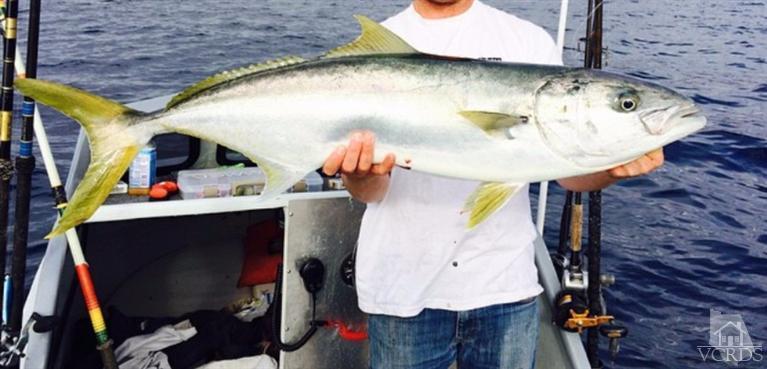 3101 Peninsula Road, Unit 209 Oxnard, CA 93035 - Photo 43 of 49 Additional Photo