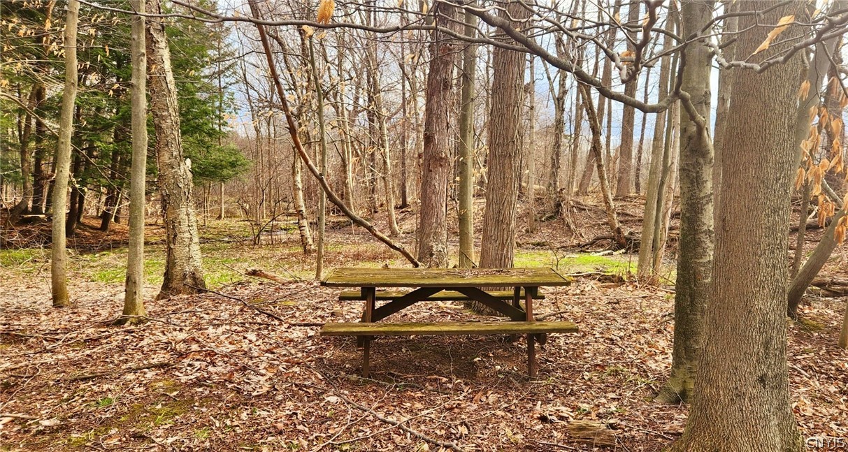 2011 Eno Road Sterling, NY 13111 - Photo 30 of 40 Outside you will find a park like back yard with s