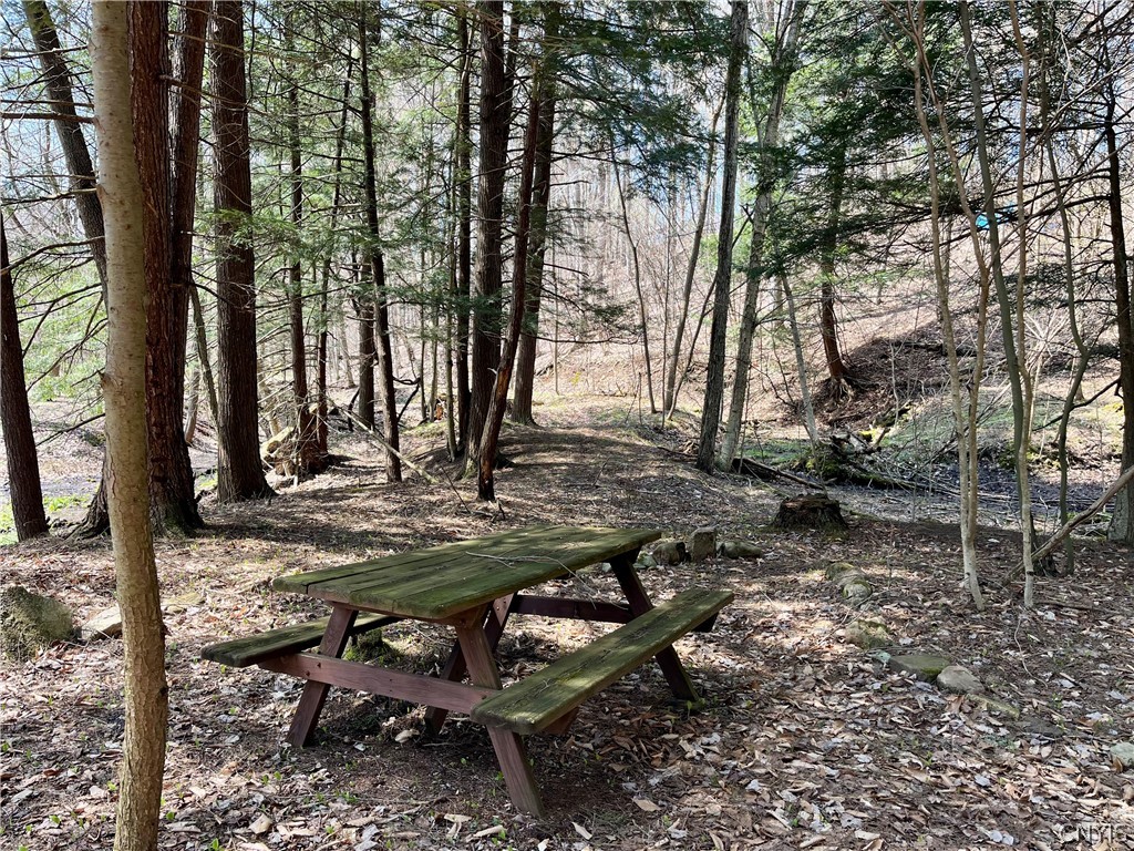 2011 Eno Road Sterling, NY 13111 - Photo 33 of 40 Enjoy a picnic lunch in this tranquil setting.