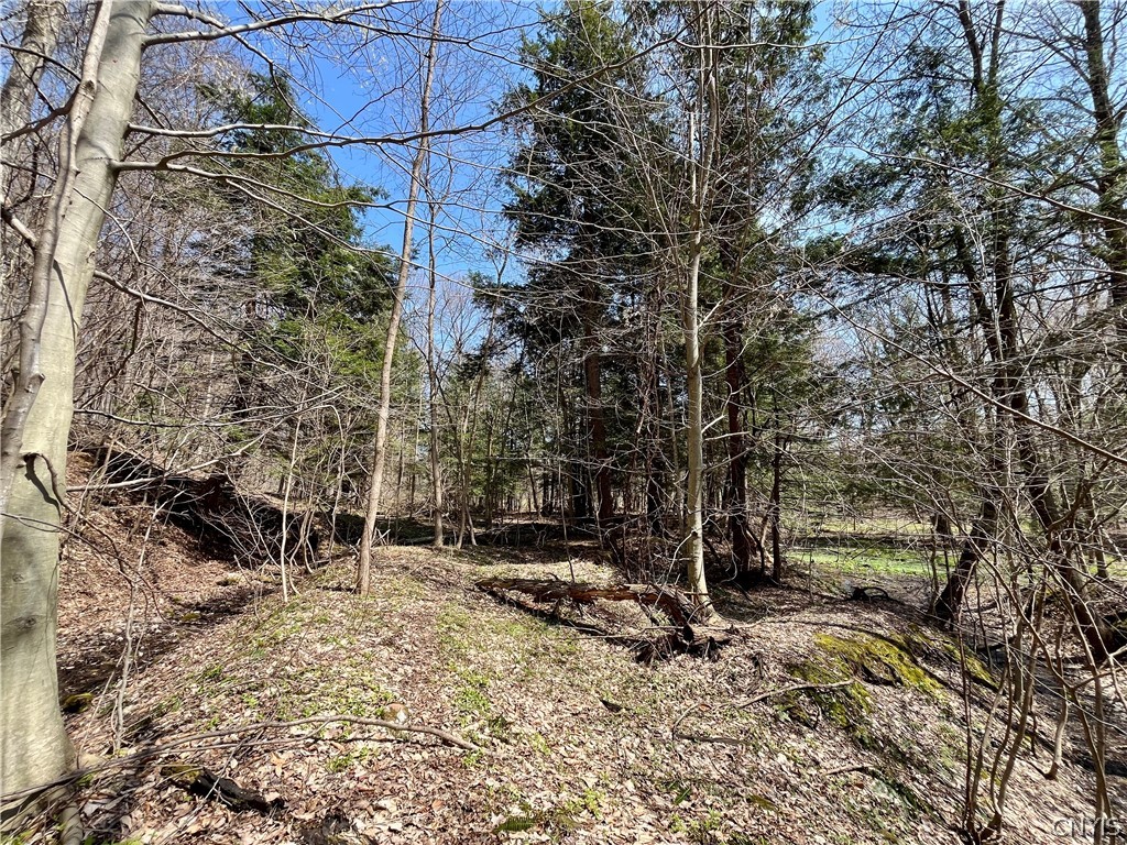 2011 Eno Road Sterling, NY 13111 - Photo 34 of 40