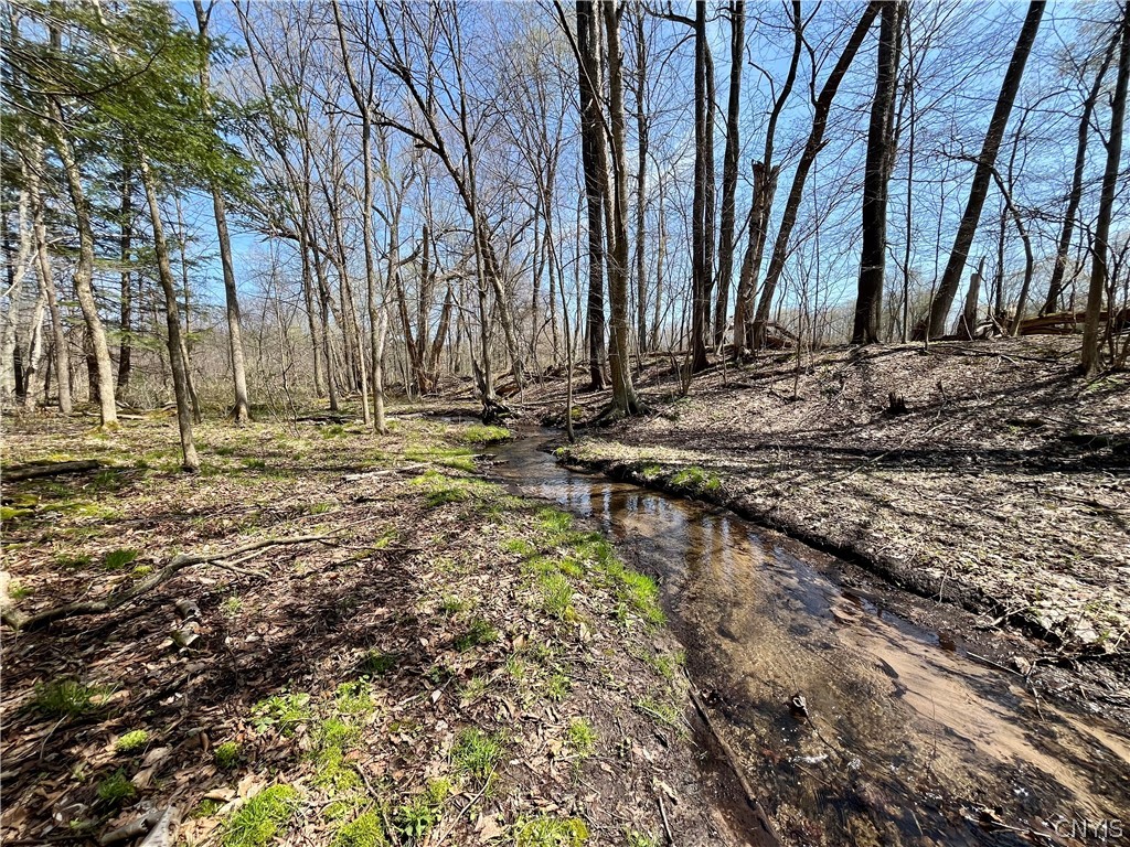 2011 Eno Road Sterling, NY 13111 - Photo 35 of 40