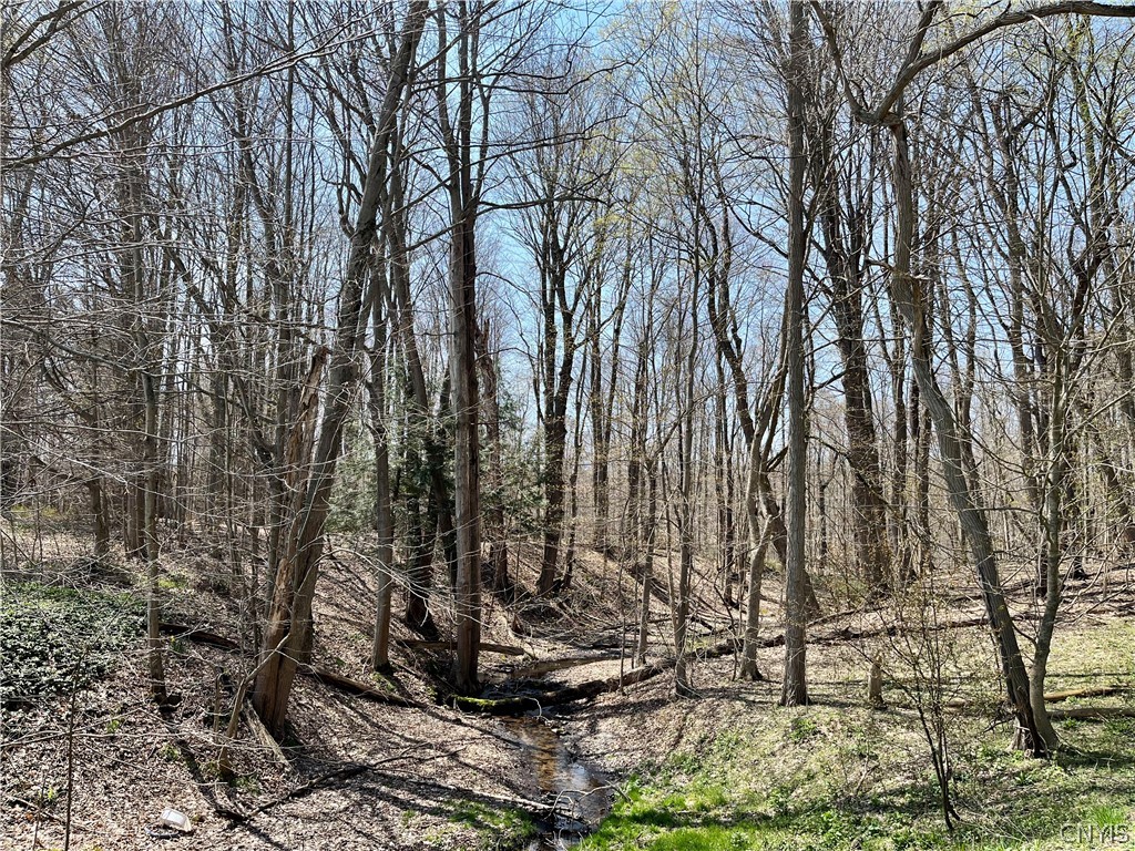 2011 Eno Road Sterling, NY 13111 - Photo 36 of 40