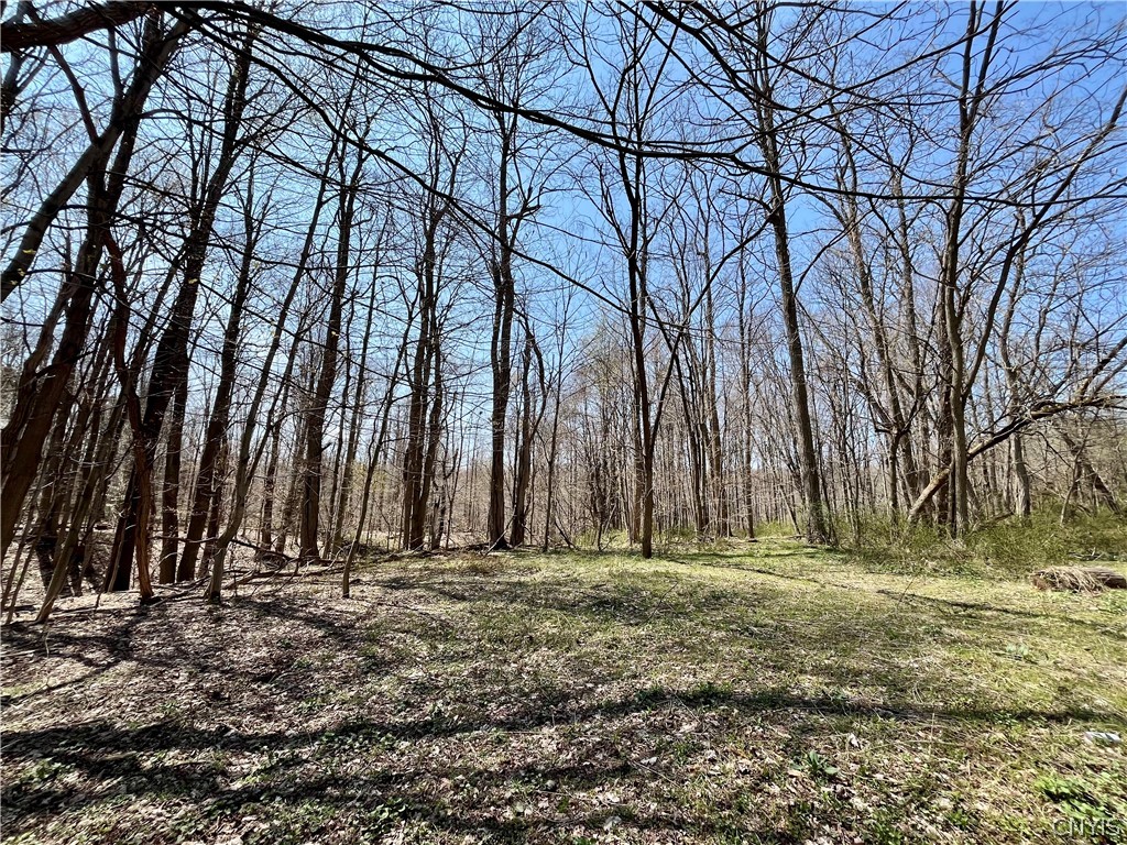 2011 Eno Road Sterling, NY 13111 - Photo 37 of 40