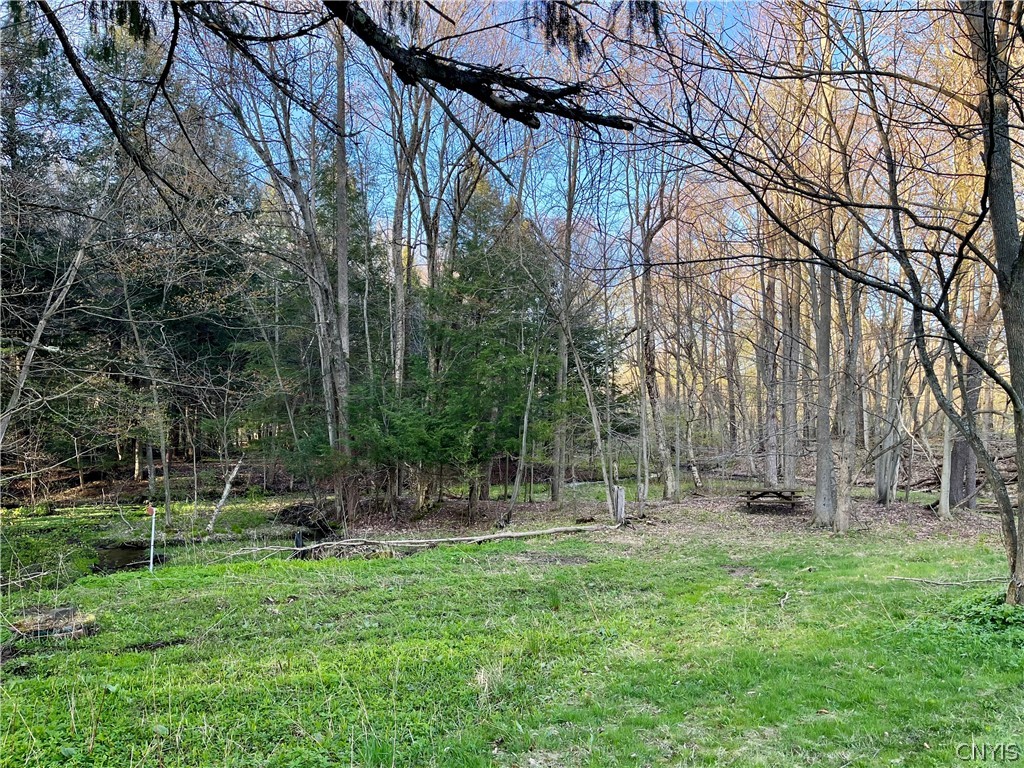 2011 Eno Road Sterling, NY 13111 - Photo 38 of 40 Backyard